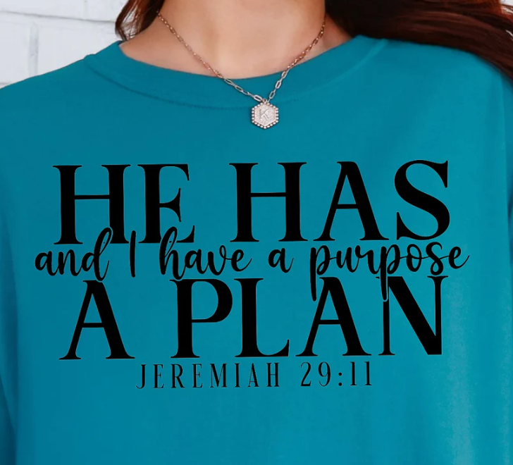 He Has a Plan and I Have a Purpose