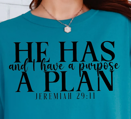 He Has a Plan and I Have a Purpose