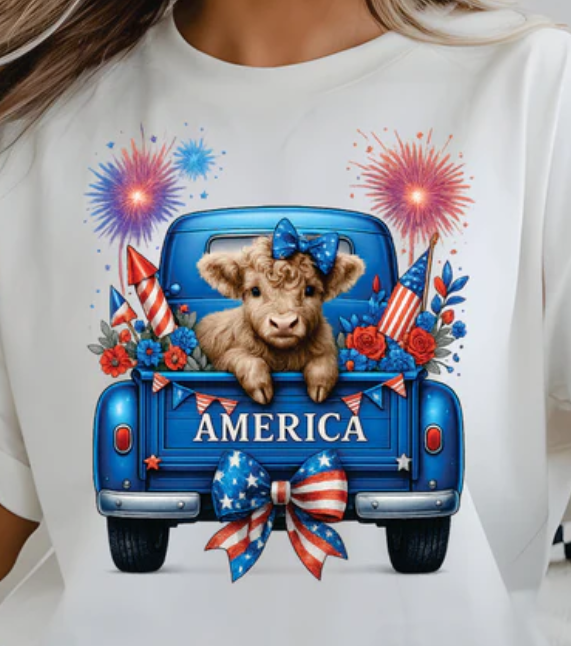 Highland Cow in Blue Truck