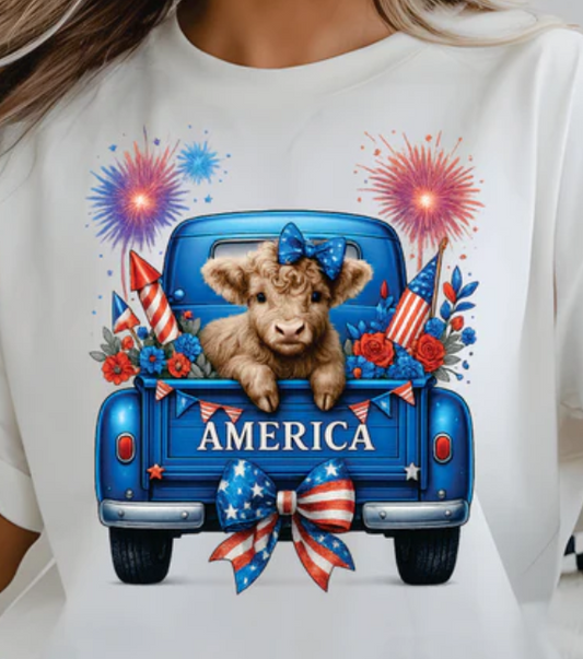 Highland Cow in Blue Truck
